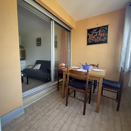 Avec Loggia Vitrée, à 100m De La Plage, Proche Commerces Et Activités à - Fr-1-338-492 * Sète