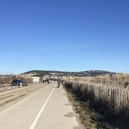 Avec Loggia Vitrée, à 100m De La Plage, Proche Commerces Et Activités à - Fr-1-338-492 * Sète