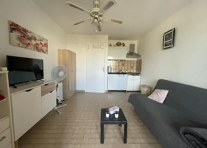 Avec Loggia Vitree, A 100m De La Plage, Proche Commerces Et Activites A - Fr-1-338-492 Appartement