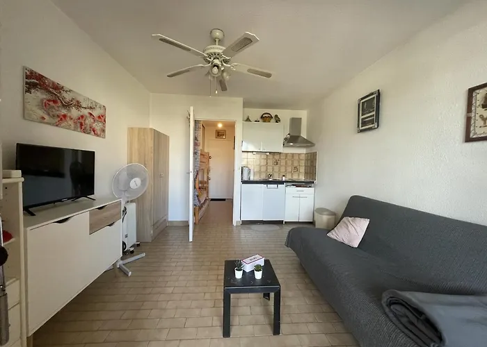 Appartement Avec Loggia Vitree, A 100m De La Plage, Proche Commerces Et Activites A - Fr-1-338-492